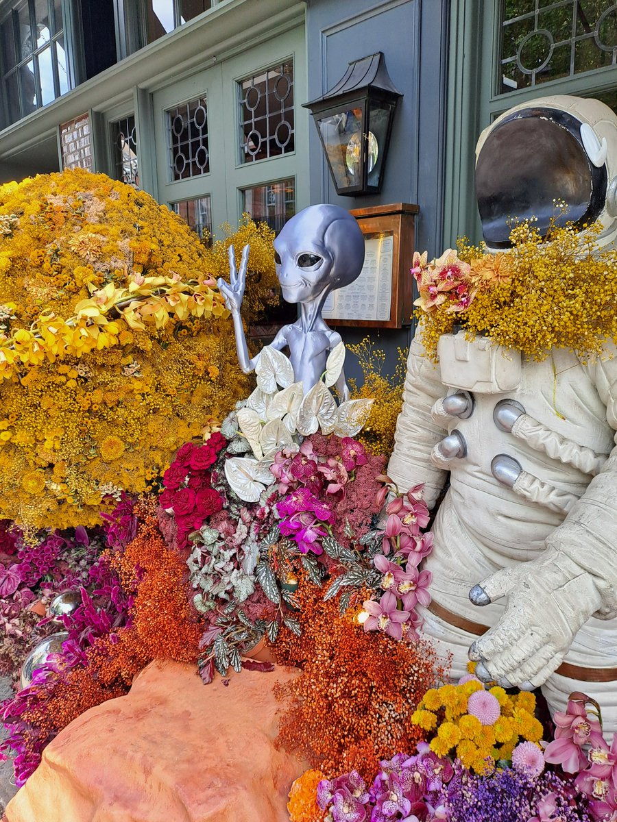 MagnusRodwell's tweet photo. Excitement of #Chelsea Flower is well underway, quick blog a/c of yesterdays visit to the Kings Road, with photographs to inspire the budding #florists / #gardeners and creative spirit from within.  An #artists account of the lead up to the #RSH show.

https://t.co/kwpxbbhC15 https://t.co/M7EQJOc7zT