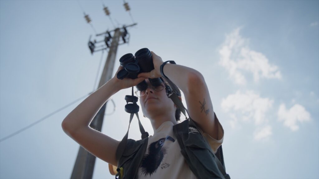 ConservCareers's tweet photo. 🔥 New post! | Protecting Portugal’s skies: How Inês Pereira found her true calling in conservation | 📌Interviews | 👉 https://t.co/raEMgNMoa6
#ConservationCareers #ConservationJobs #ConservationAdvice #Conservation #Wildlife https://t.co/QOI4S0R3Lr