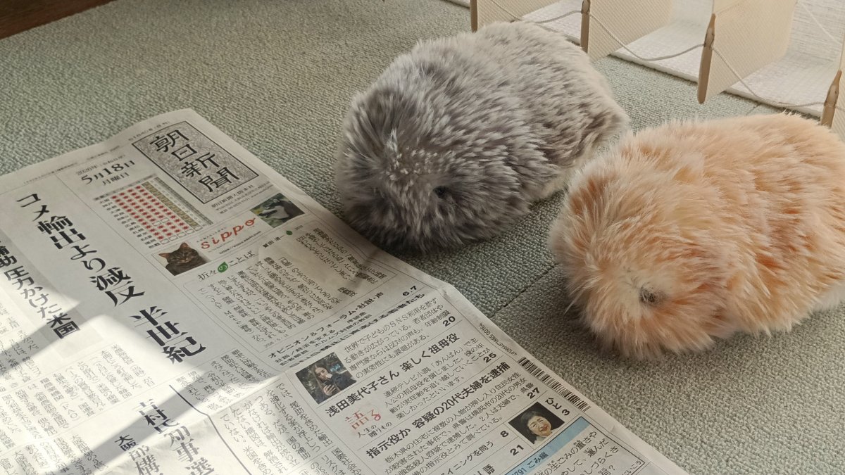 くー・みぃ・syuko_x tweet media