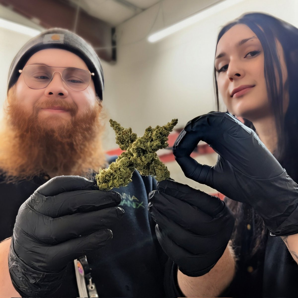 cannaorganix's tweet photo. Happy Monday from the farm!!! Back to the grind πͺ #cannaorganix #cannabis #marijuana #weed #washington #strains https://t.co/ITRGgvbc0r