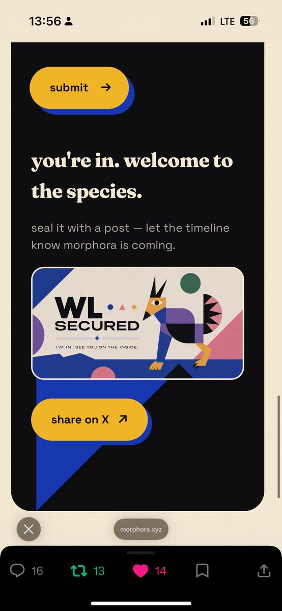 0xBash👣 tweet media