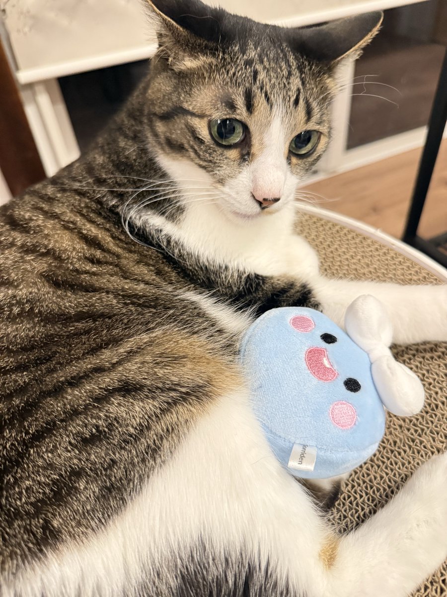 くう チャチャ@おうち tweet media