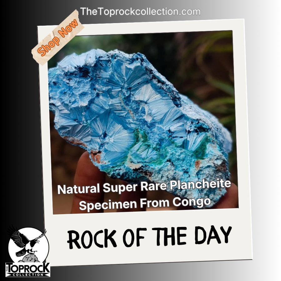 thetoprockcoll's tweet photo. Rock of the Day 💎
Super rare bright blue chatoyant Plancheite with stunning silky rosettes & minor Malachite from Mashamba West Mine, Congo.
Cabinet size beauty!
AA Grade.
Shop 👉https://t.co/Nzc2XFzqOj
#Thetoprockcollection #Plancheite #RareMinerals https://t.co/0lLb69J4Sx