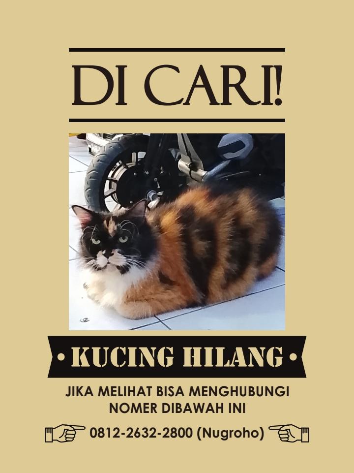braidedq's tweet photo. INFO KEHILANGAN KUCING.

Halo, warga X. Aku mau minta tolong cause temanku abis kehilangan kucingnya di daerah bekasi. Ditemuin kandangnya udah kebuka dan ngga ada kucingnya. Tolong share or re-tweet this tweets. Kronoligisnya di photo kedua yaa. https://t.co/nUEm4pinlF