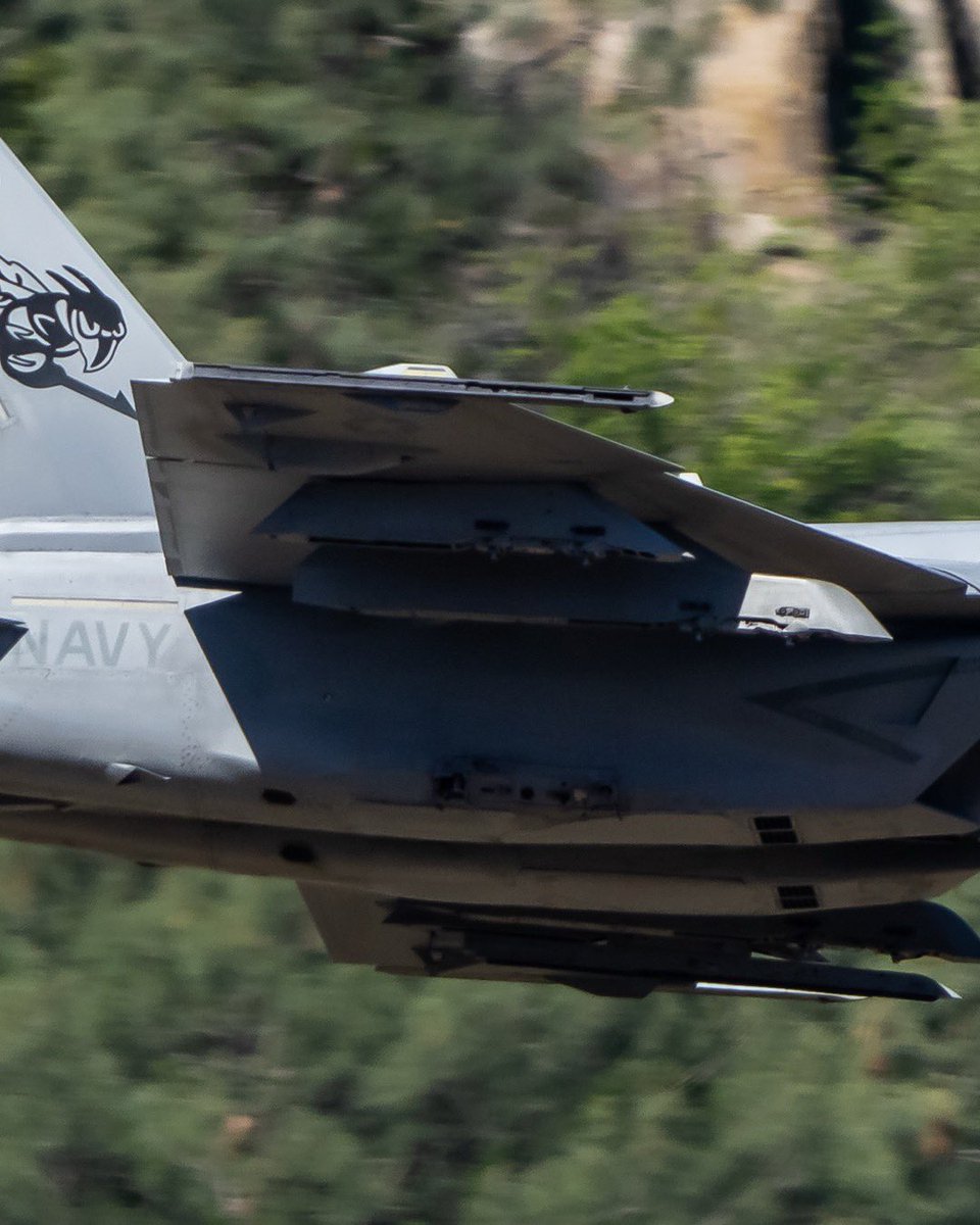 JeffRojas56's tweet photo. Block III F/A-18E from VFA-113 “Stingers” ripping through some lush greenery https://t.co/Lu3J2iCJBG