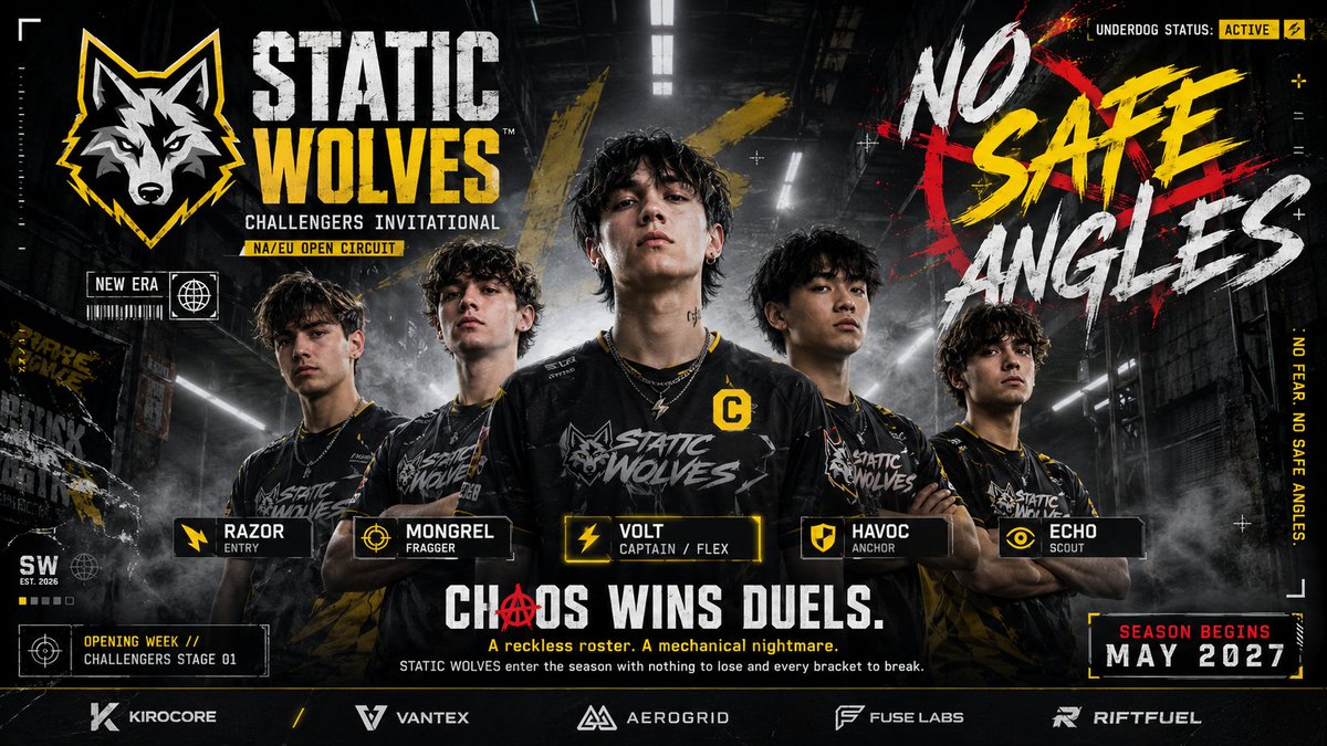 Create a premium, highly believable Fictional Esports Team P