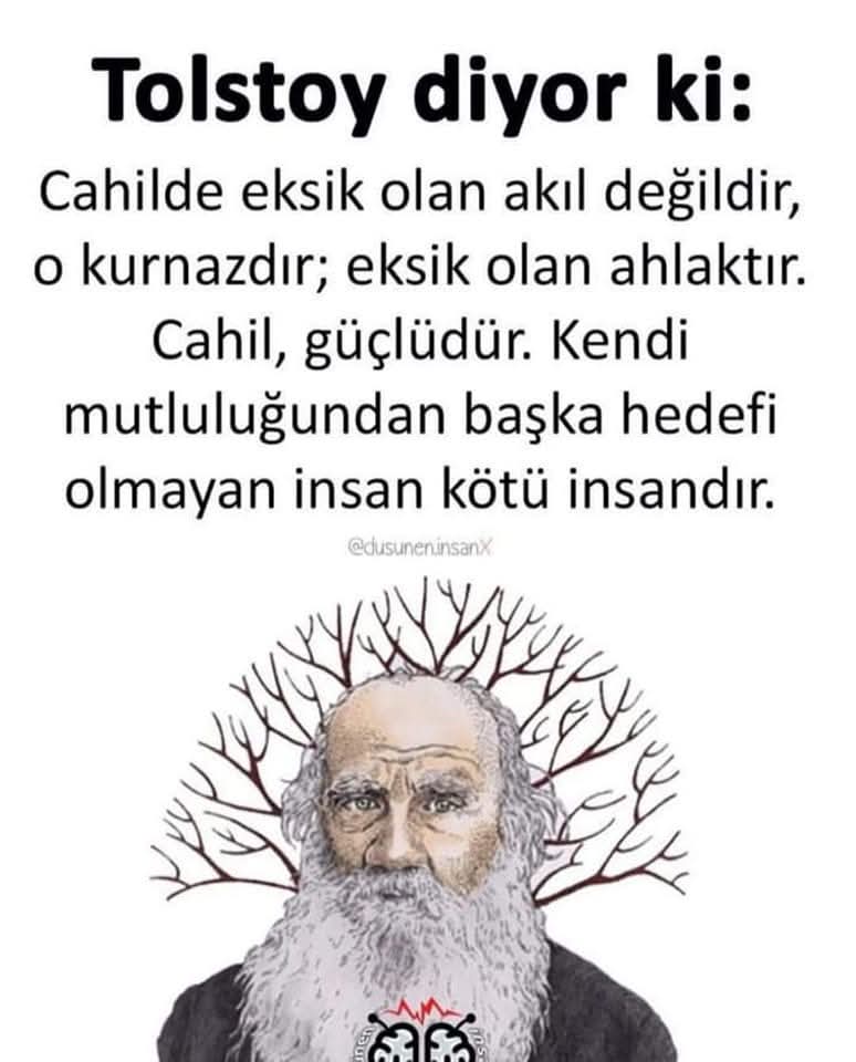 Raşit Yavuz tweet media