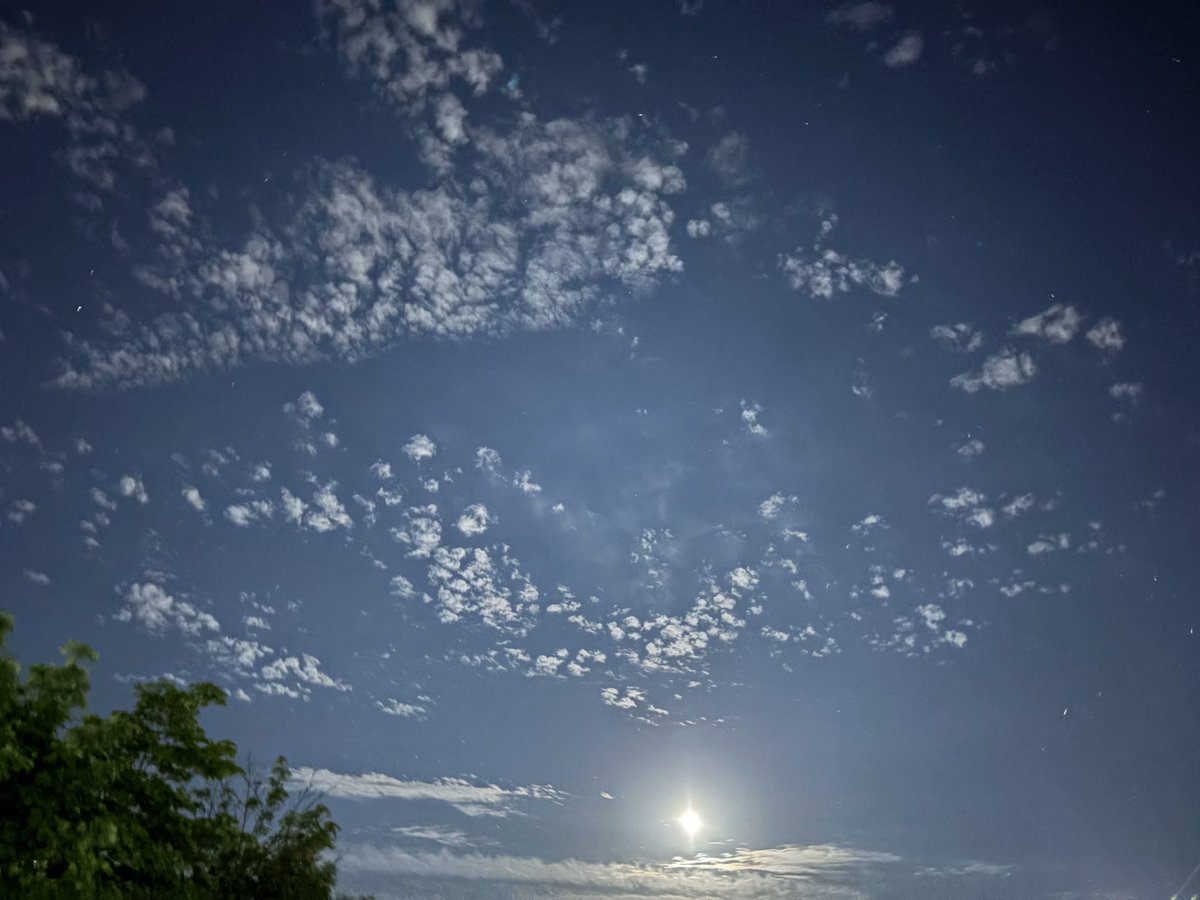 haruto (@haruto_sleep) / Posts / X