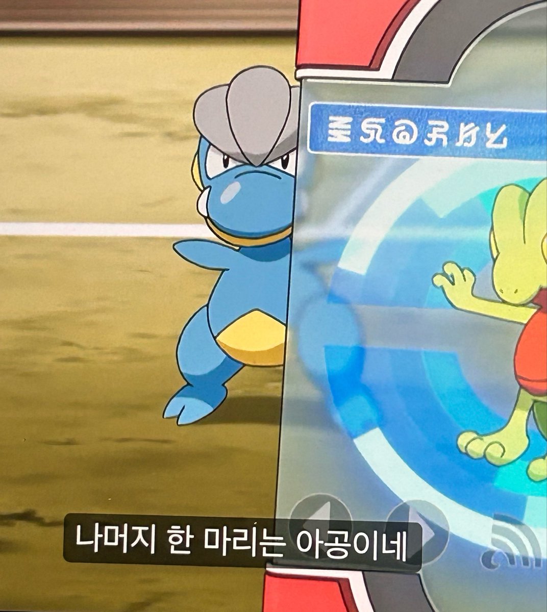 맹지 tweet media