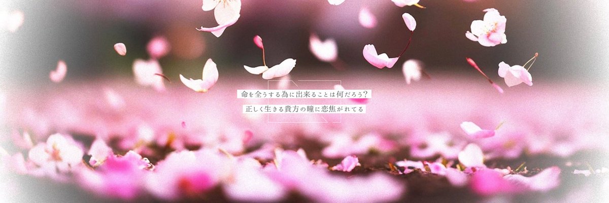 NFIOREA's tweet photo. 誓い / Leina #フリーヘッダー https://t.co/SjT30ZOOWL