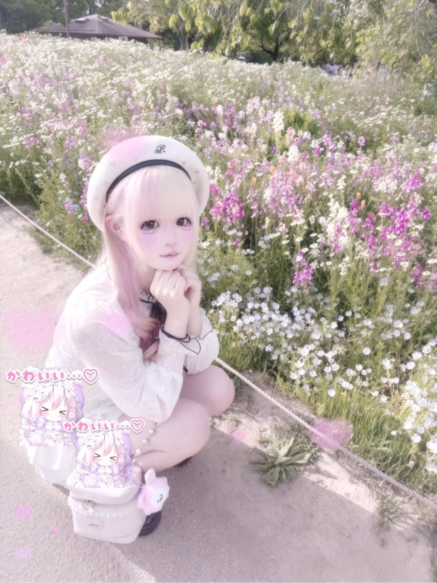 ⸜̑⸝͂ tweet media