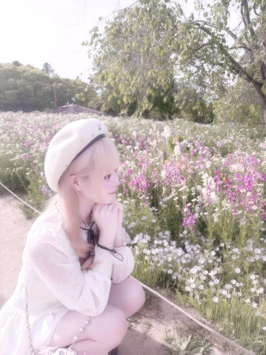 ⸜̑⸝͂ tweet media