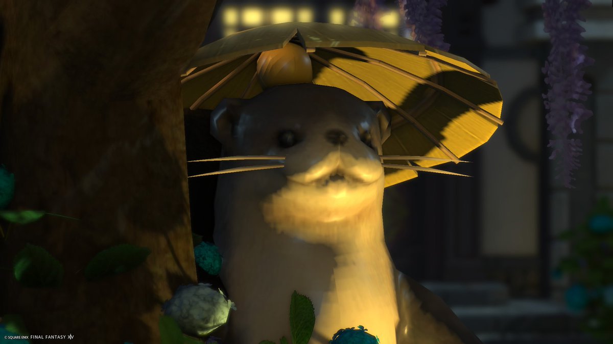 Ruu_ff14_cat tweet media