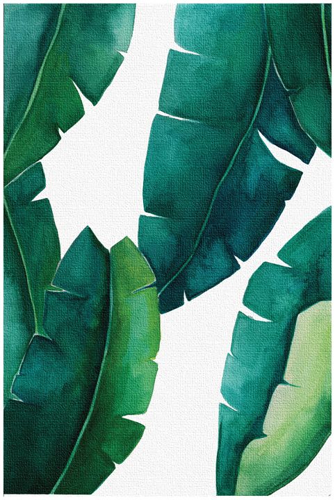 PDFDecor's tweet photo. Art of the Day! "Banana leaf print, Botanical Print". Buy at: https://t.co/IvZKSTaNWm https://t.co/VSryNZtQ8u