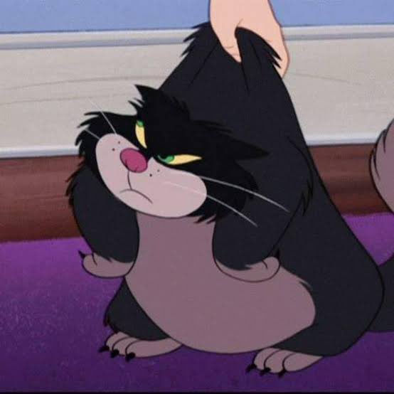 (=MuoN=) ⫷ หมูอ้วนปั้นๆ ⫸ tweet media