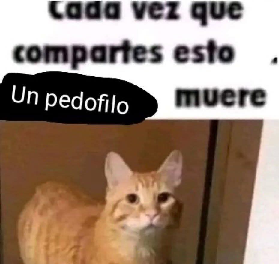 ⸸ ele tweet media