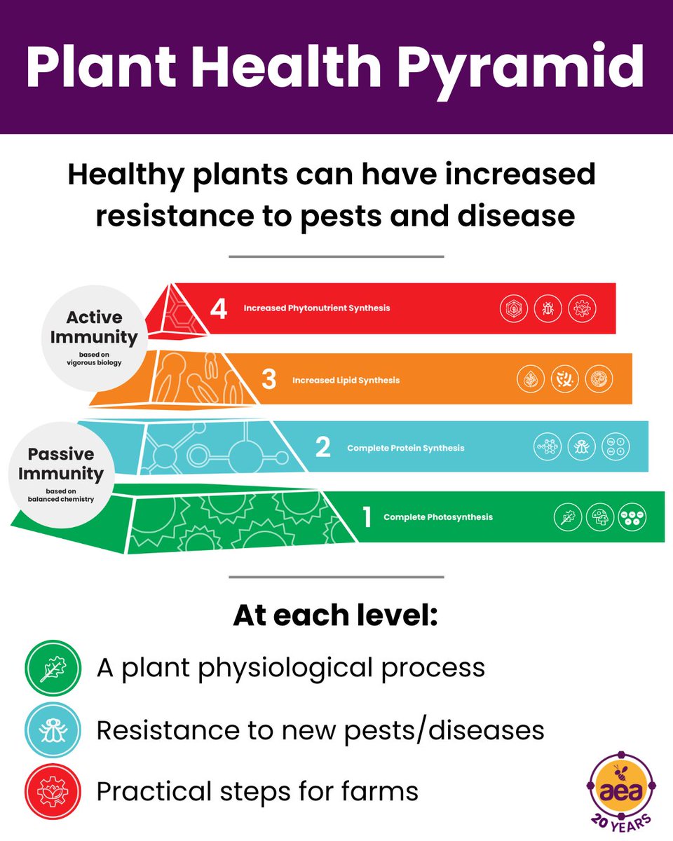 AdvancingEcoAg's tweet photo. @JohnKempf developed the Plant Health Pyramid to describe how plants can become resistant to pests and diseases as their health improves.

➡️ It's a simple and essential tool for understanding the power of regenerative agriculture and precision plant nutrition to transform farms.
➡️ Most importantly, it gives actionable tools for farms to increase pest resistance and decrease their dependence on pesticides.

This week, we'll be sharing a detailed post on each level of the Pyramid. Follow along to learn more!

Dive in to the Plant Health Pyramid: https://t.co/zYs4sDlzK0