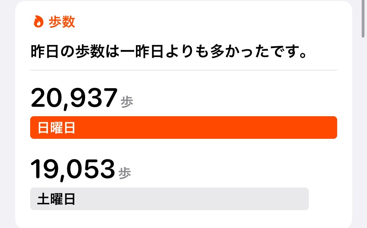 蝶麗=チョウライ tweet media