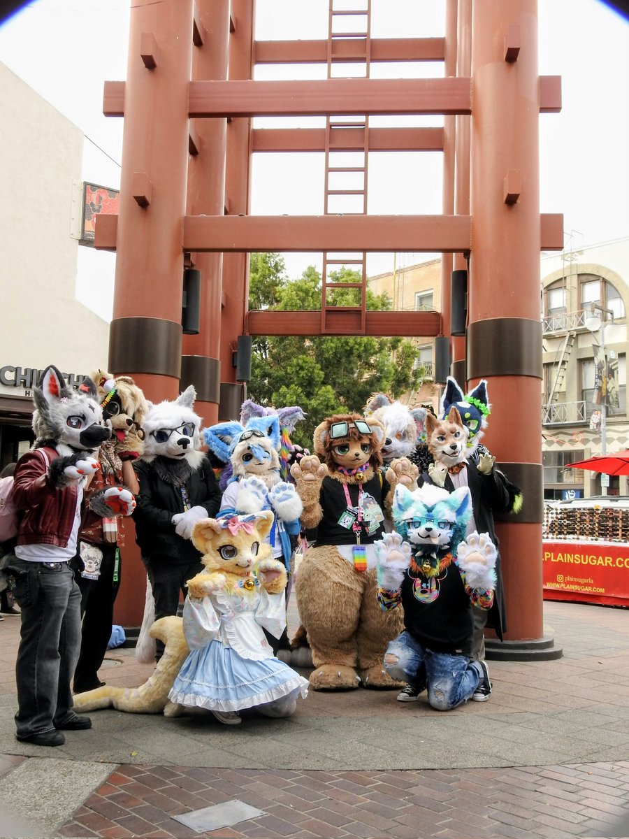 calikemo's tweet photo. Tysm to everyone who attended our Little Tokyo meet!! We have more planned coming soon, but we will be excited to return to Little Tokyo sometime in the Fall!!

📸 : @dusk92102, @Kiminukii

#kemono #furry https://t.co/heqOjMamEn