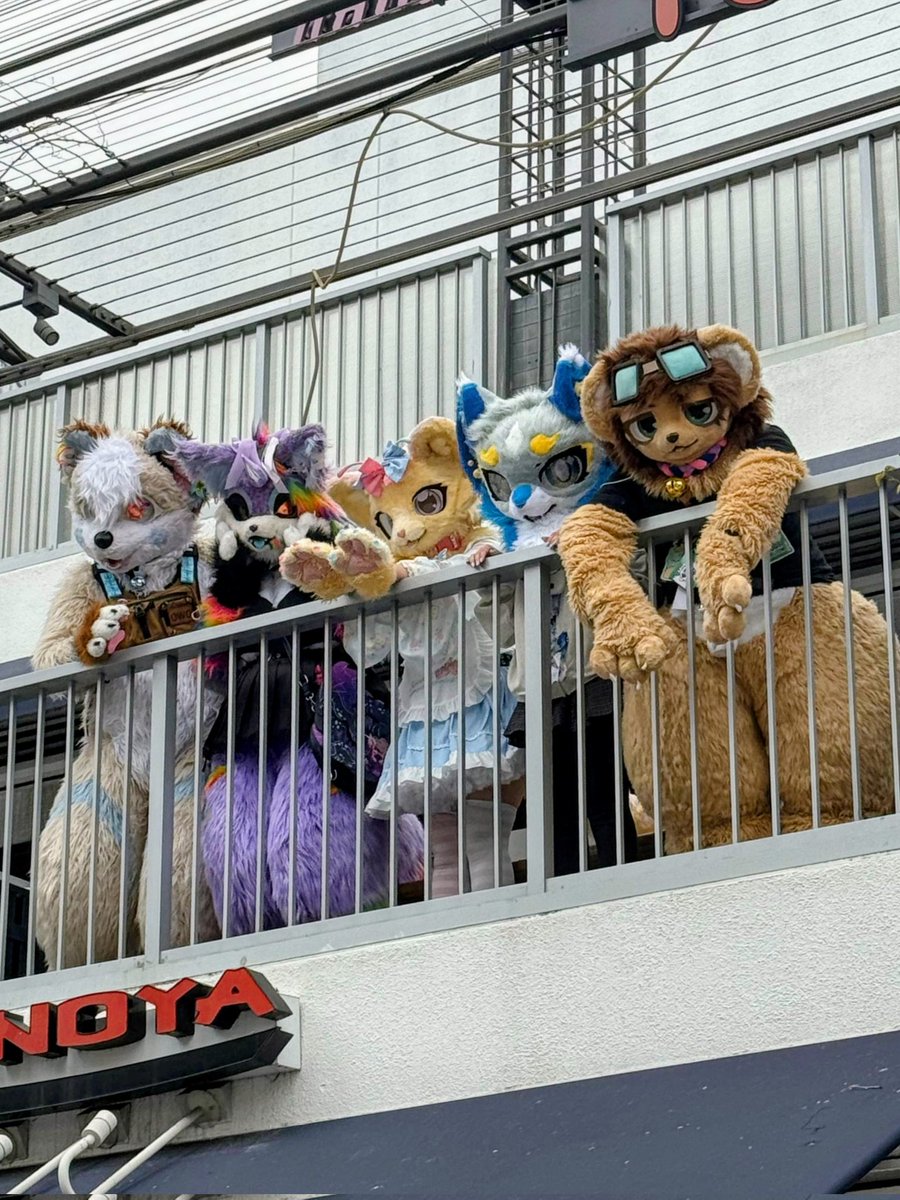 calikemo's tweet photo. Tysm to everyone who attended our Little Tokyo meet!! We have more planned coming soon, but we will be excited to return to Little Tokyo sometime in the Fall!!

📸 : @dusk92102, @Kiminukii

#kemono #furry https://t.co/heqOjMamEn