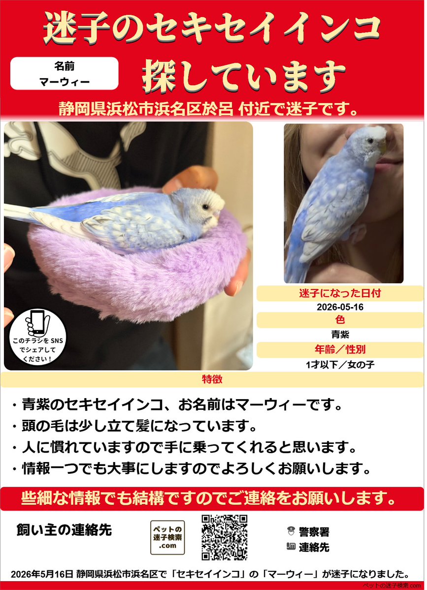 インコ様ご確認用ページ！ インコ様ご確認用ページ！