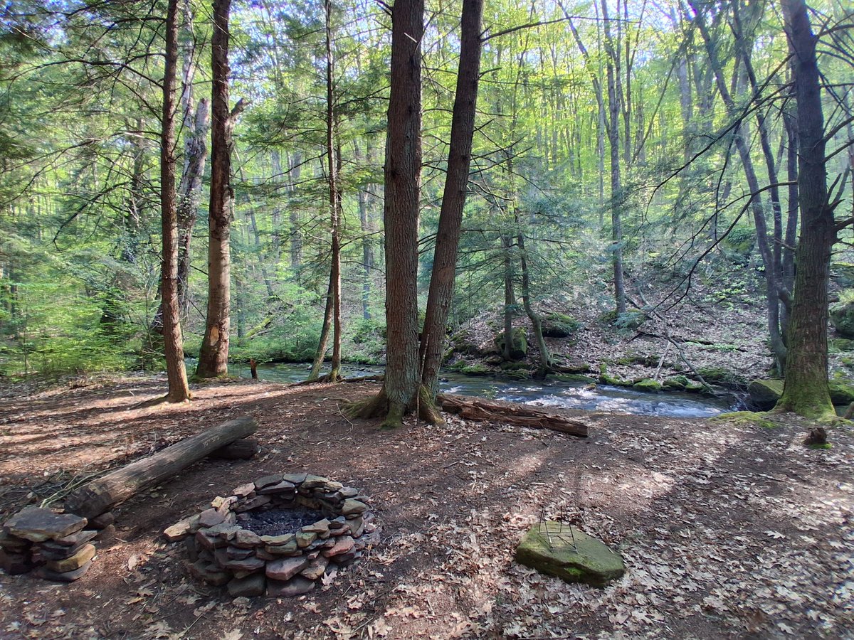 ErieGreenDeep's tweet photo. It's so much fun improving dispersed campsites. Dispersed camping is a truly beautiful communal experience.

Leave It Better Than You Found It https://t.co/BDE3HrIK29