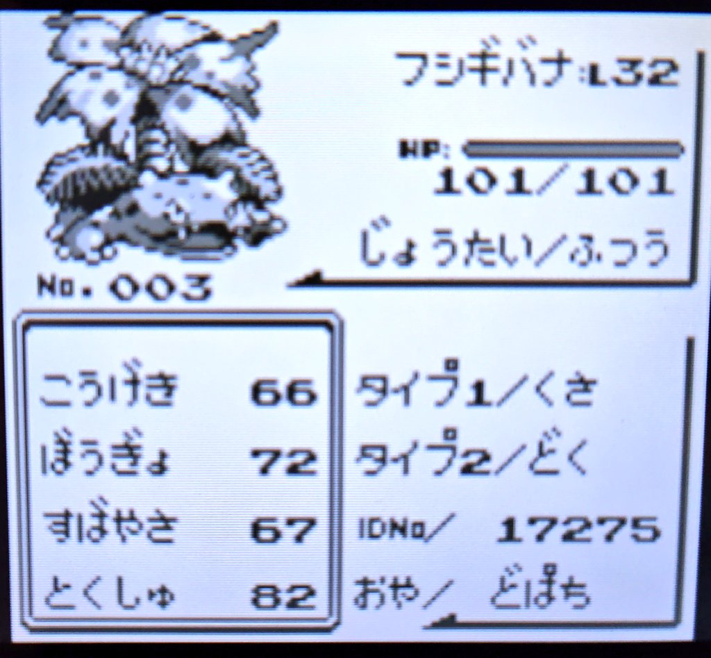 バナバァ〜ナ！ 進化しました〜✨✨✨
