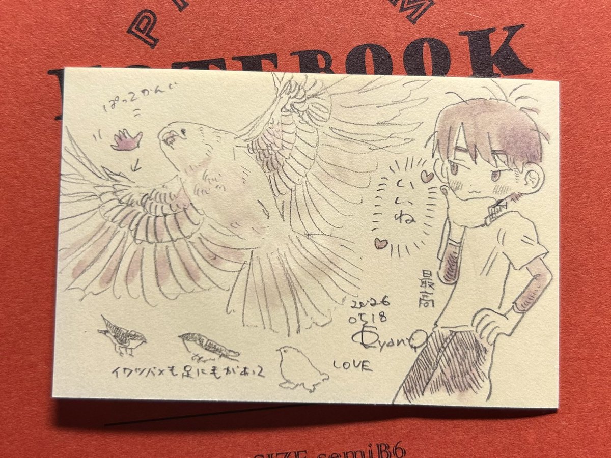 鳥のことばっかかんがえてる 