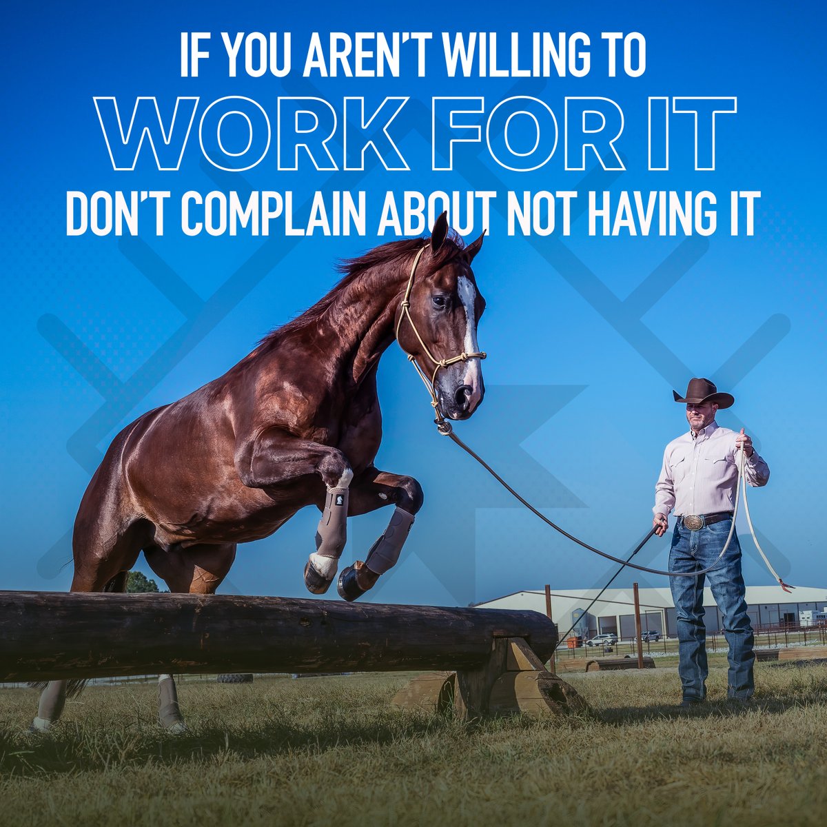 DownunderHorse's tweet photo. 👏 Be willing to work for it or settle for what you have. 
#ApplyTheMethod https://t.co/wff71wbt7D