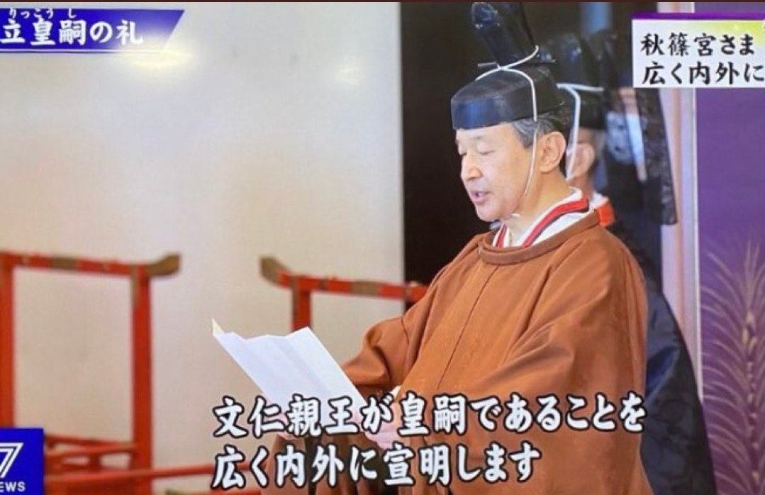 高野槇 tweet media