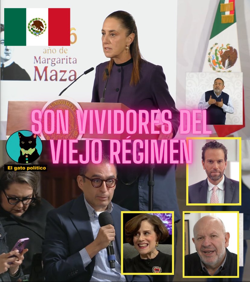 El gato político tweet media