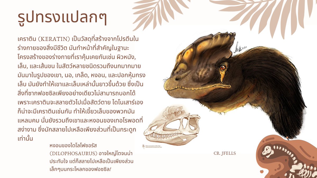 Hiro 🇹🇭 tweet media