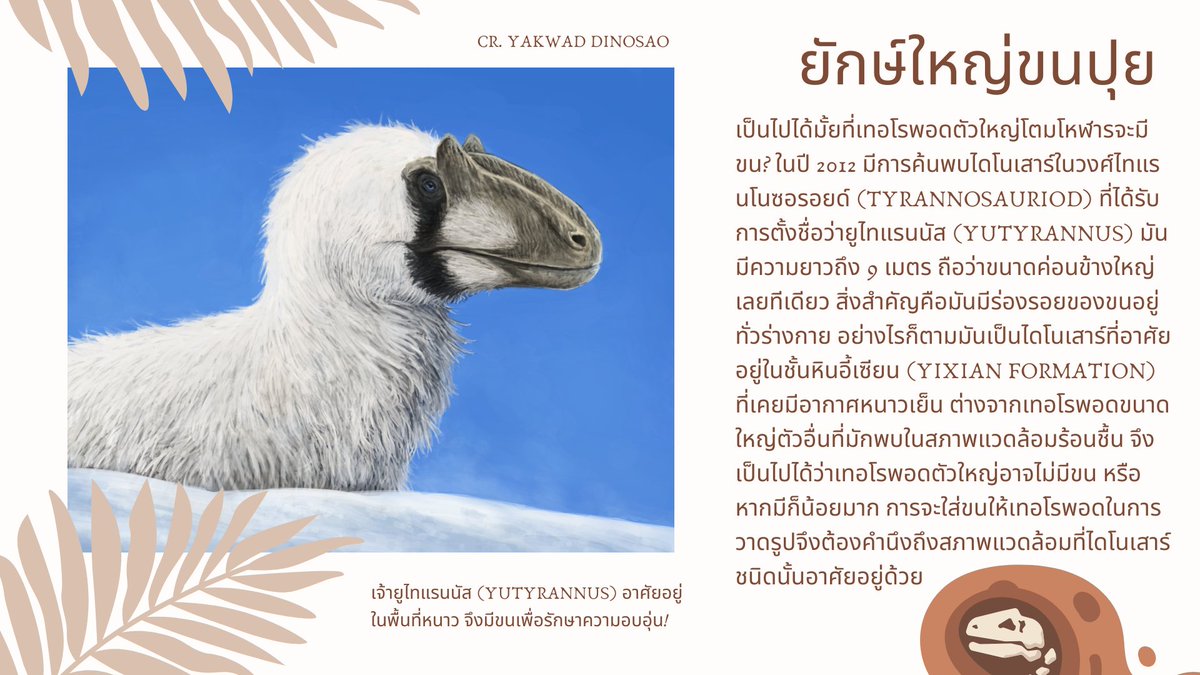 Hiro 🇹🇭 tweet media