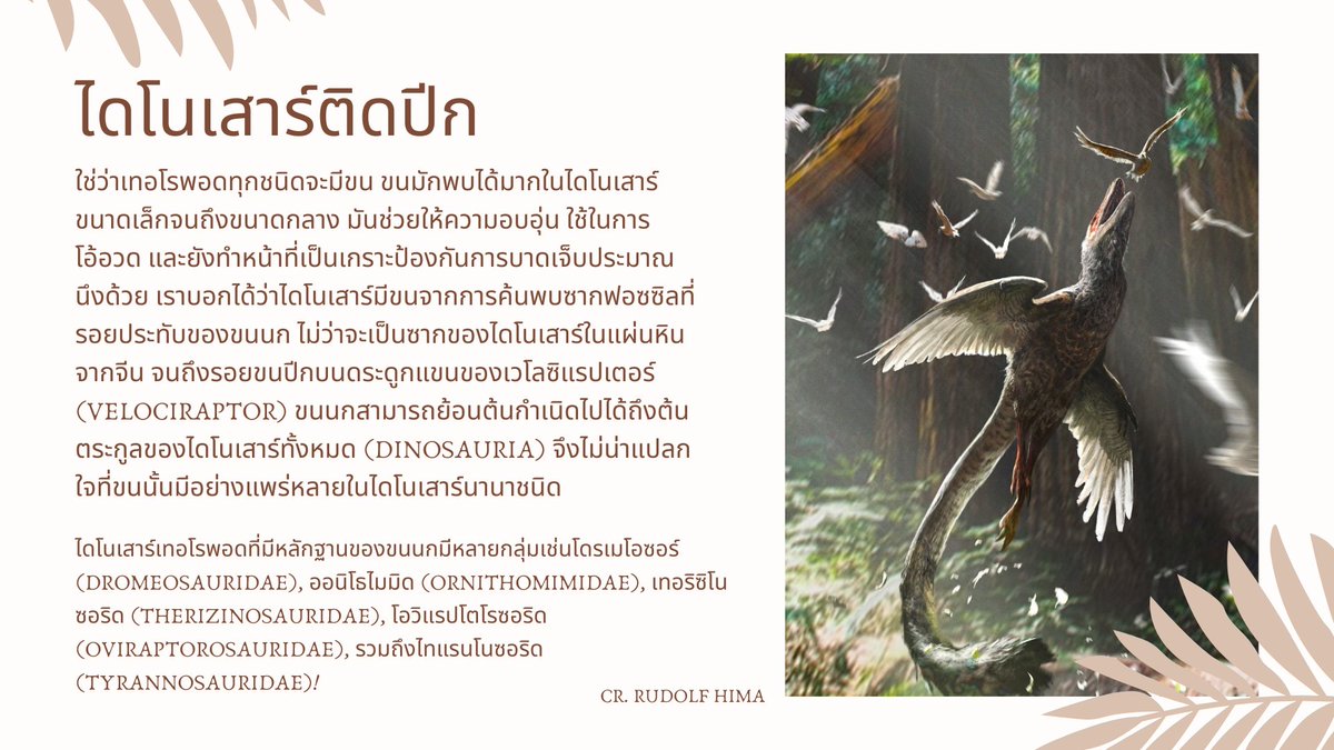 Hiro 🇹🇭 tweet media