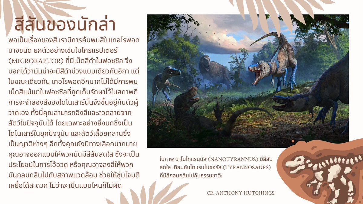 Hiro 🇹🇭 tweet media