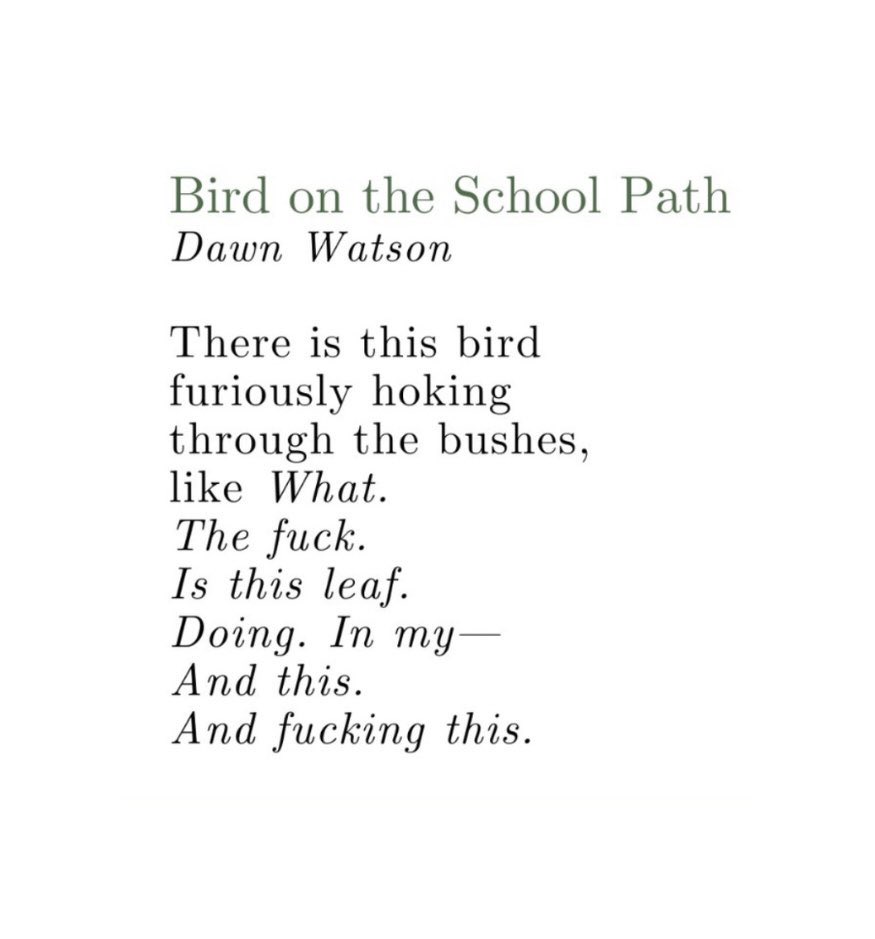 mag_gabbert's tweet photo. Here’s an end of the semester favorite favorite poem by Dawn Watson https://t.co/iMIQHvqGor