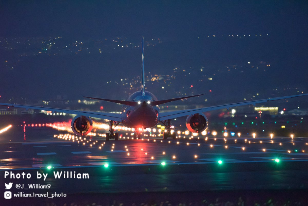 ウィル / William ✈︎ tweet media