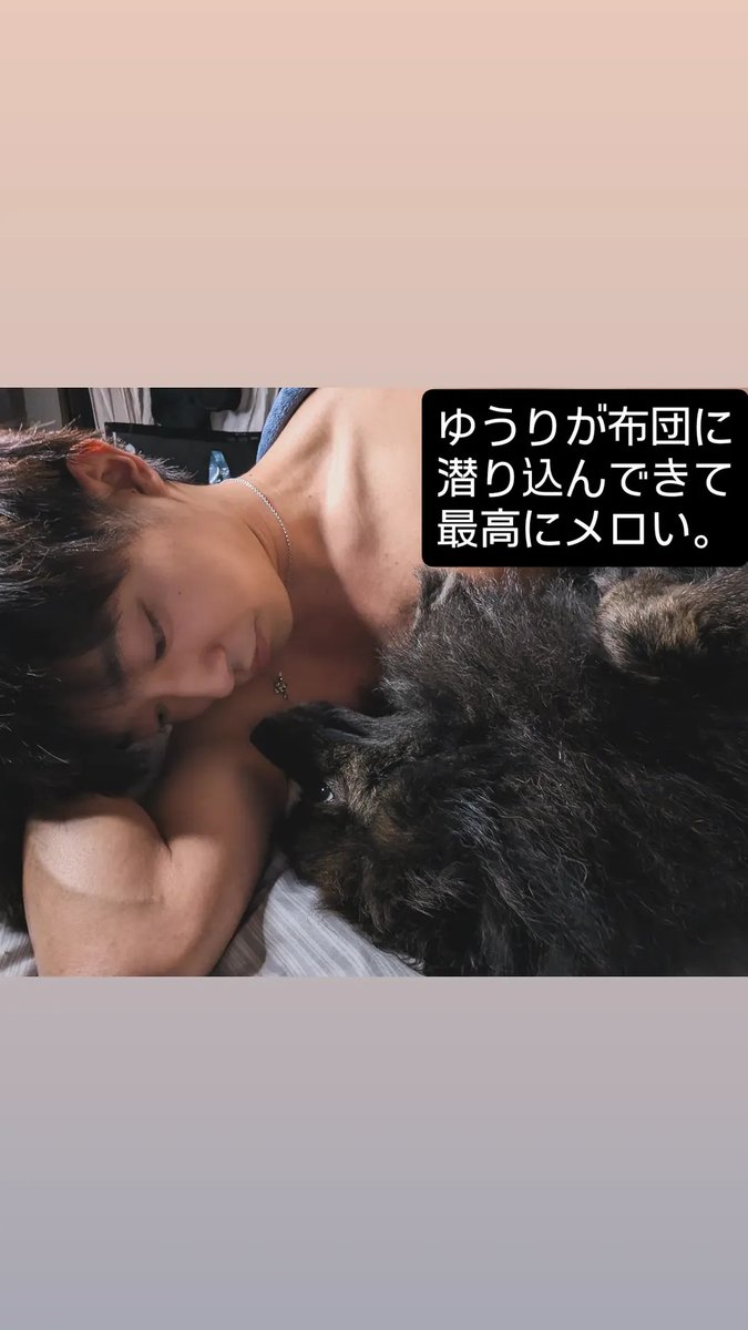 Kyousuke_kyn's tweet photo. 犬とメロい日々を過ごしてます。
僕は元気です。
(X久しく開いてなかった😇) https://t.co/SuVKSxOF7R