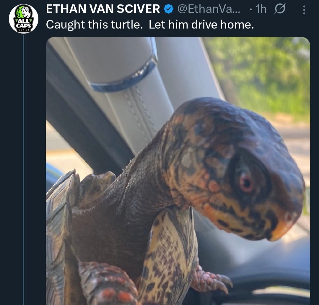 Alfred_Orteez's tweet photo. This sociopath Ethan Van Sciver just steals animals out of their natural environment for his own enjoyment π
Entitlement on another level - he just takes them back to his home. Weird villain behavior
#comicsgate #allcapscomics https://t.co/c9blHcNcXJ