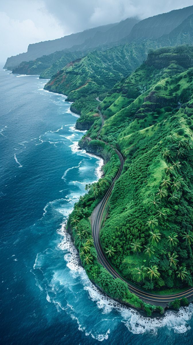 Earth Pictures tweet media