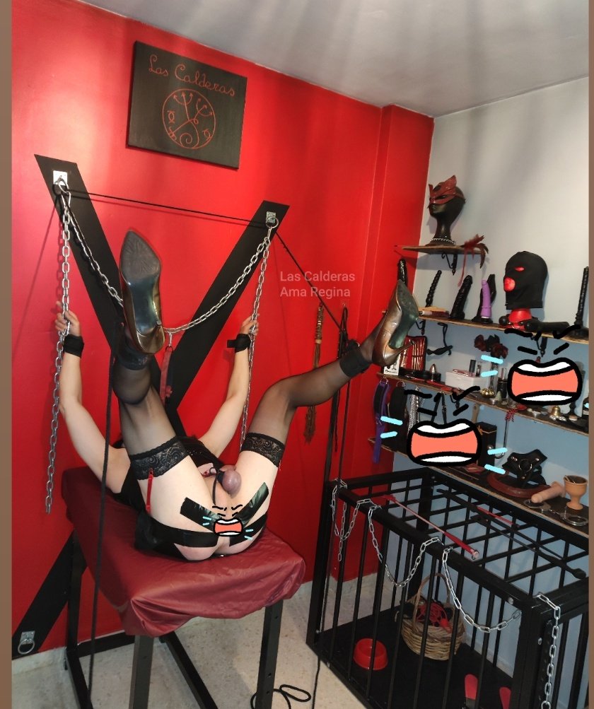 lasCalderasbdsm's tweet photo. Que trato tiene una puta ??? https://t.co/8ylUw2KRs3