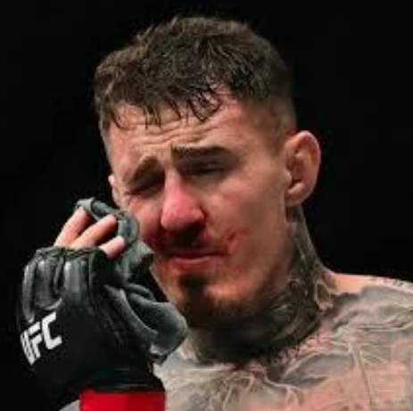 MMA FIXED tweet media