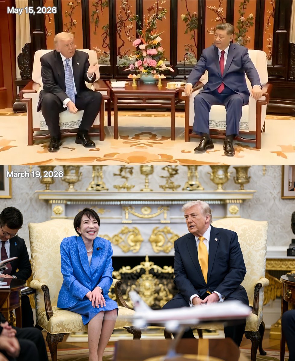 枫糖小猫 tweet media