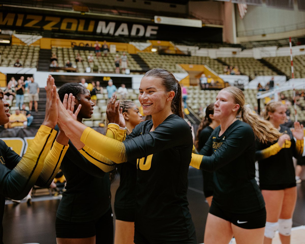 Mizzou Volleyball tweet media