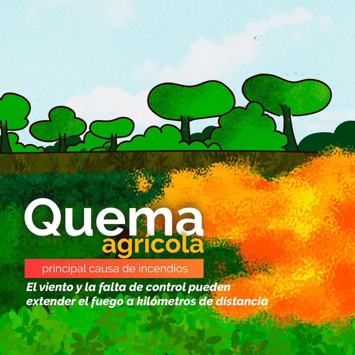 Defensores de la Naturaleza tweet media