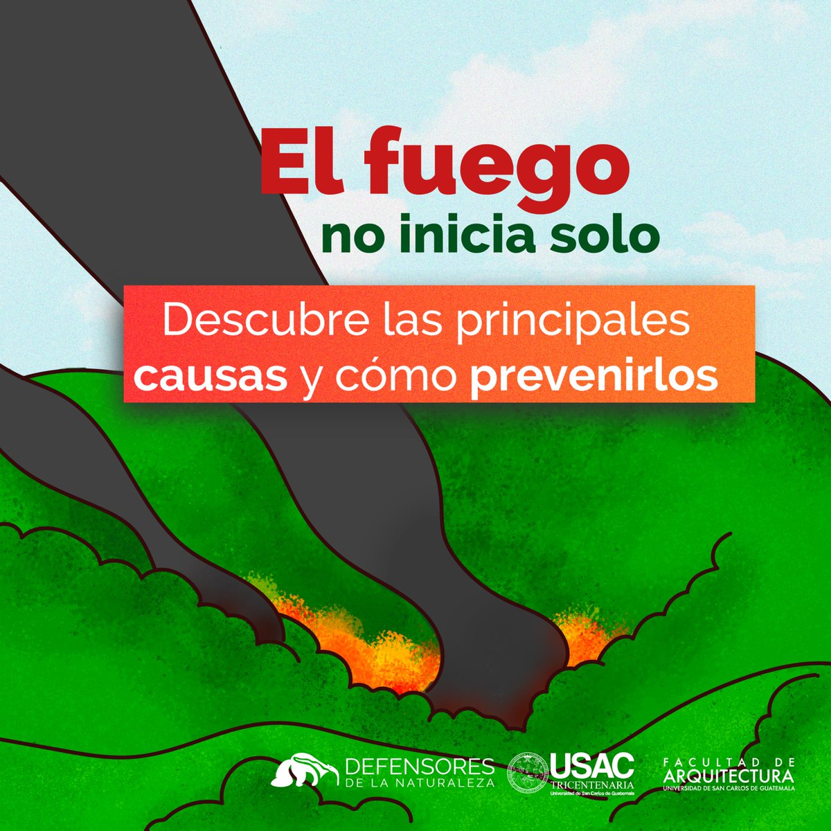 Defensores de la Naturaleza tweet media