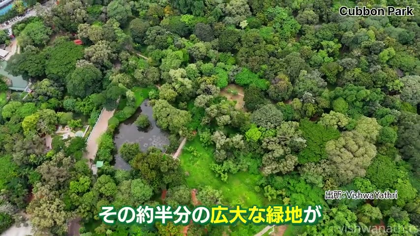 🇮🇳INDIA GO!🐘インドがまるっと分かるよ💡 tweet media