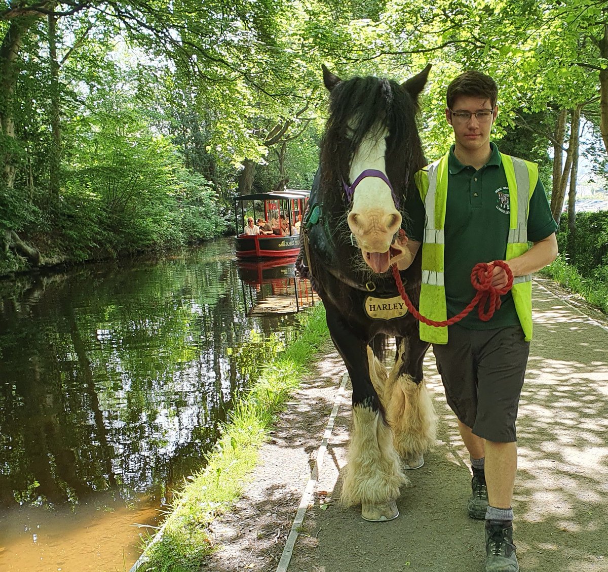 lynjobaggins's tweet photo. Tonite 7pm
Expect they'll go over #PontcysyllteAqueduct I've walked+took canalboat over, hope the beautiful scenery will feature on TV for that part of Canal
Maybe he'll trundle thru #Chirk part of canal too and stop in Llangollen
Look forward to watching 📺 https://t.co/LzOjRIFqgJ