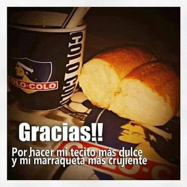 rduqueoyarce tweet picture