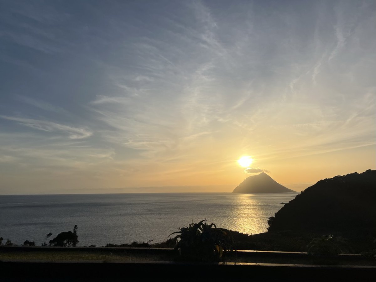 八丈島　樫立　千両 tweet media